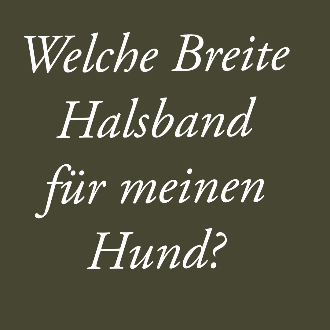 Welche Halsbandbreite für meinen Hund? Wie messe ich den Halsumfang?