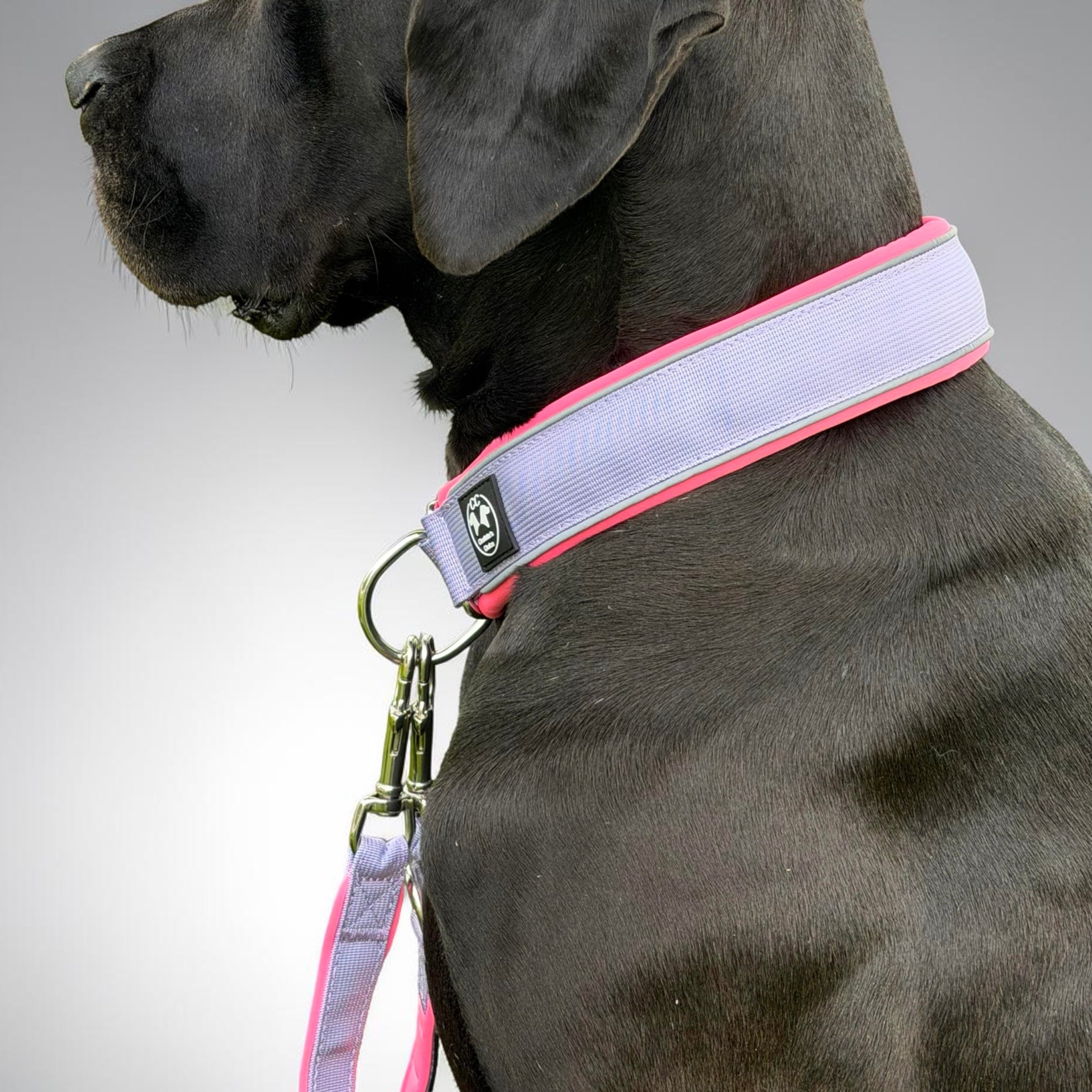 Zugstopp Halsbänder 2.5/3/4/5cm breit – Charlotte's Choice Horse