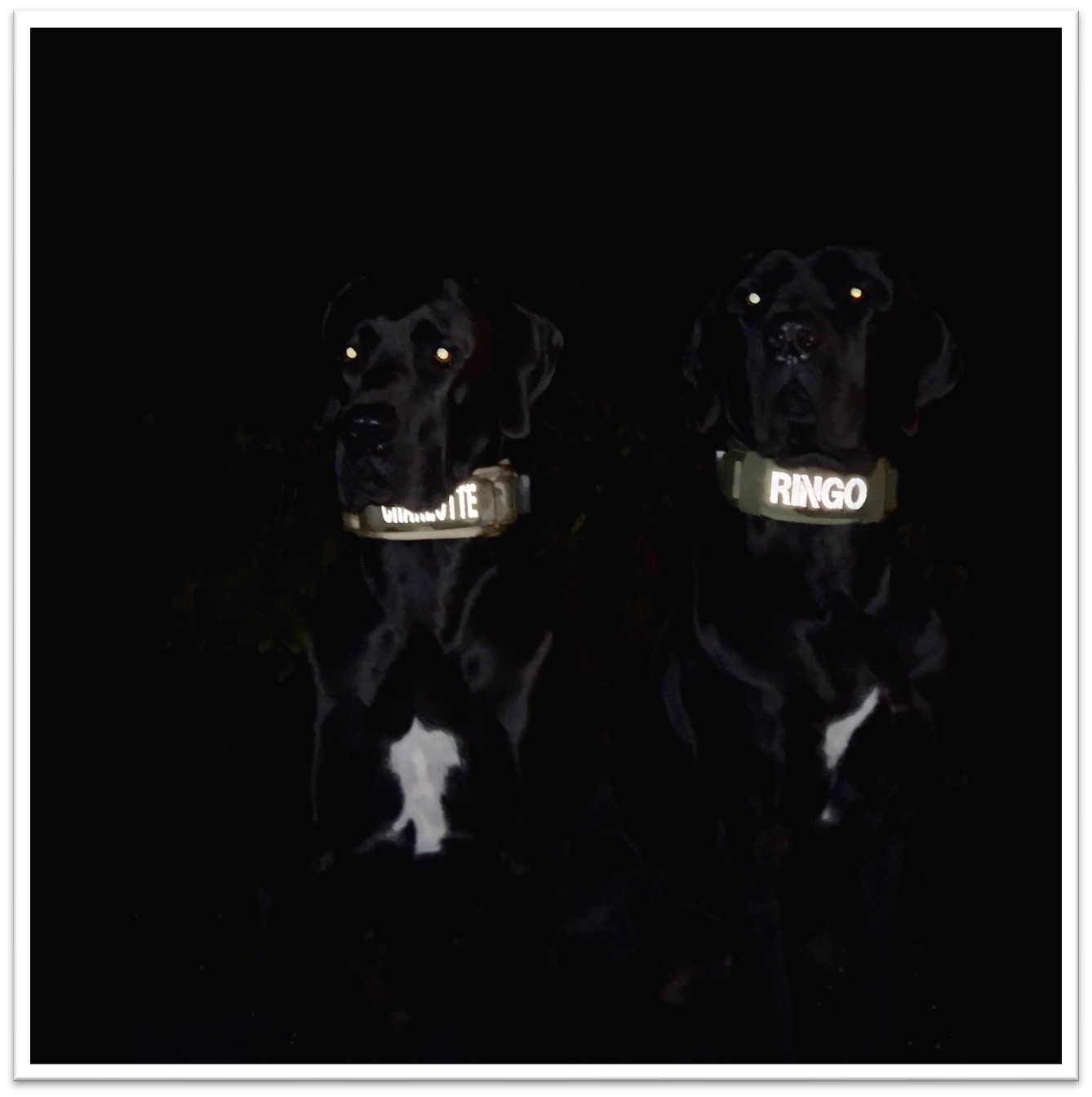 Velcro-Patches