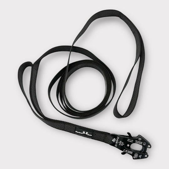 Gummierte Laufleine 2.5 cm mit Frog Cable Schnalle 2/3/5/10/15 m, schwarz mit Schlaufen