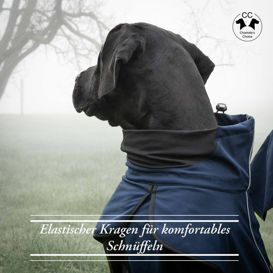 Entdecken Sie den ultraleichten, eleganten Sailor Hunderegenmantel für Frühling und Sommer. Wasserdicht, mit reflektierenden Elementen und weichem Fleece-Innenfutter. Perfekter Schutz für Ihren Hund an regnerischen Tagen.