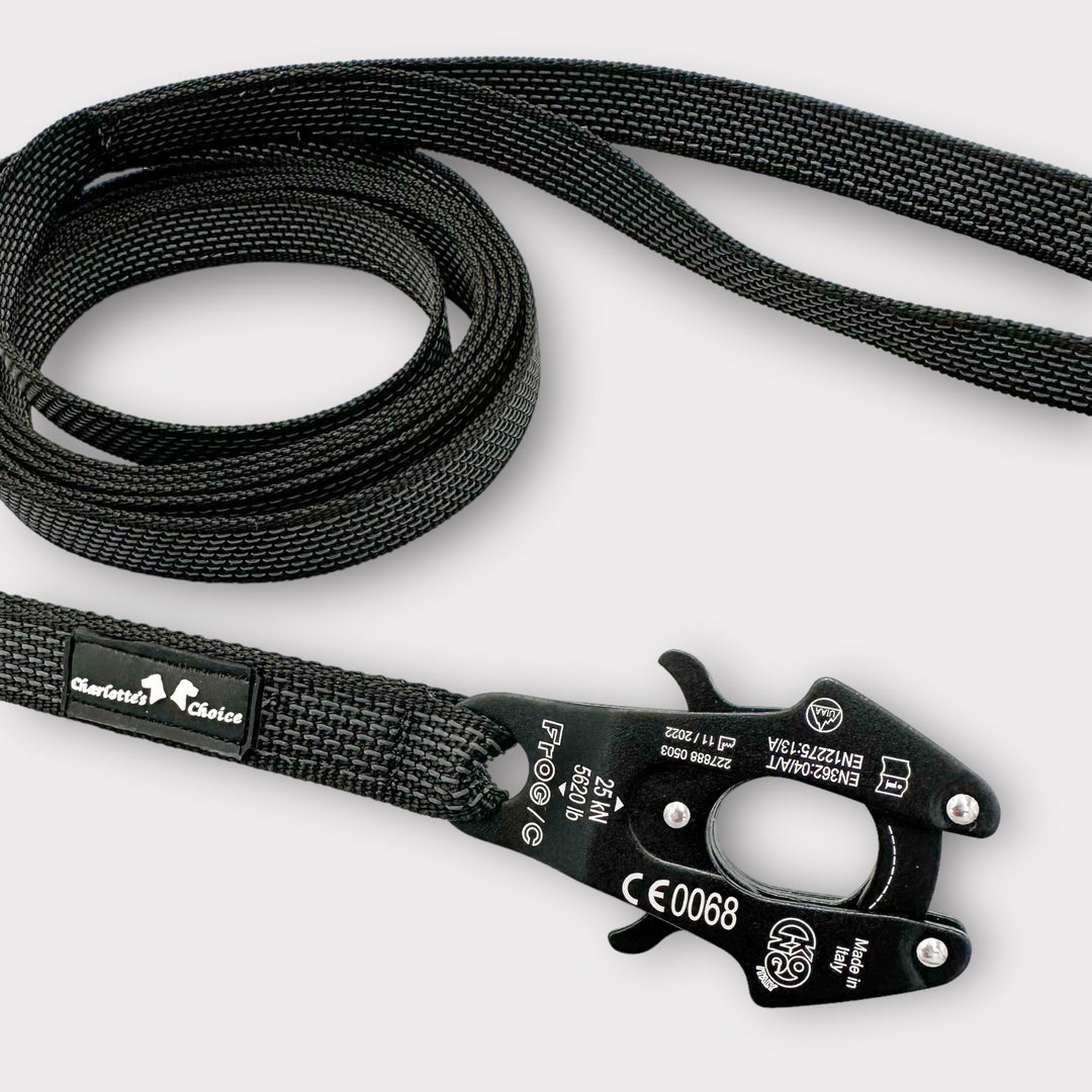 Gummierte Laufleine 2.5 cm mit Frog Cable Schnalle 2/3/5/10/15 m, schwarz mit Schlaufen
