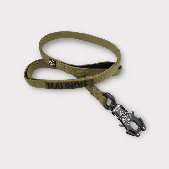 2.5 cm Leine personalisiert mit Standard-Karabiner, Frog Cable oder Frog 360