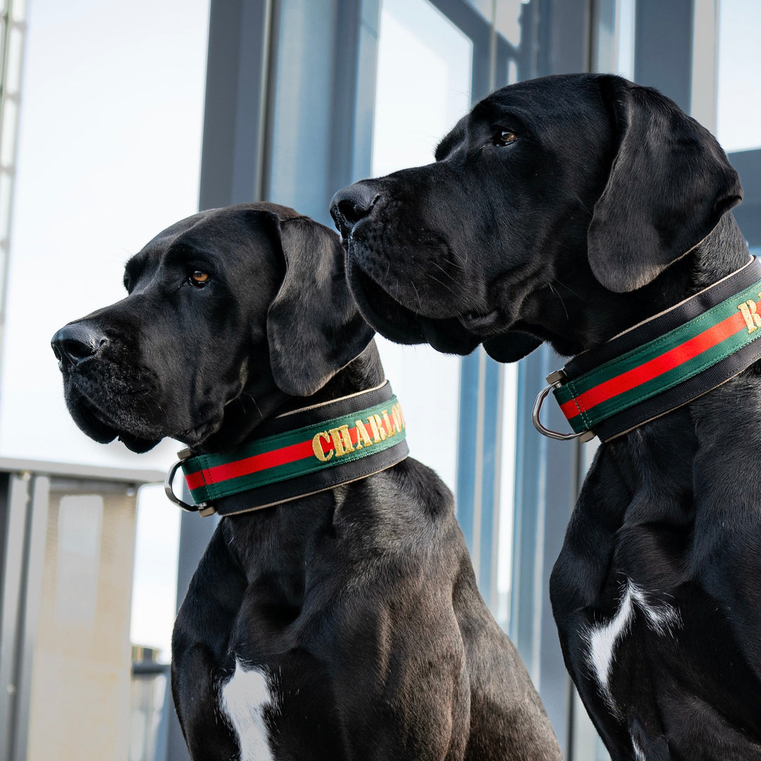 Luxus Heavy Duty Halsband 5 cm /7 cm/ 10 cm für grosse Hunde (zusätzliche Polster-Unterlage)