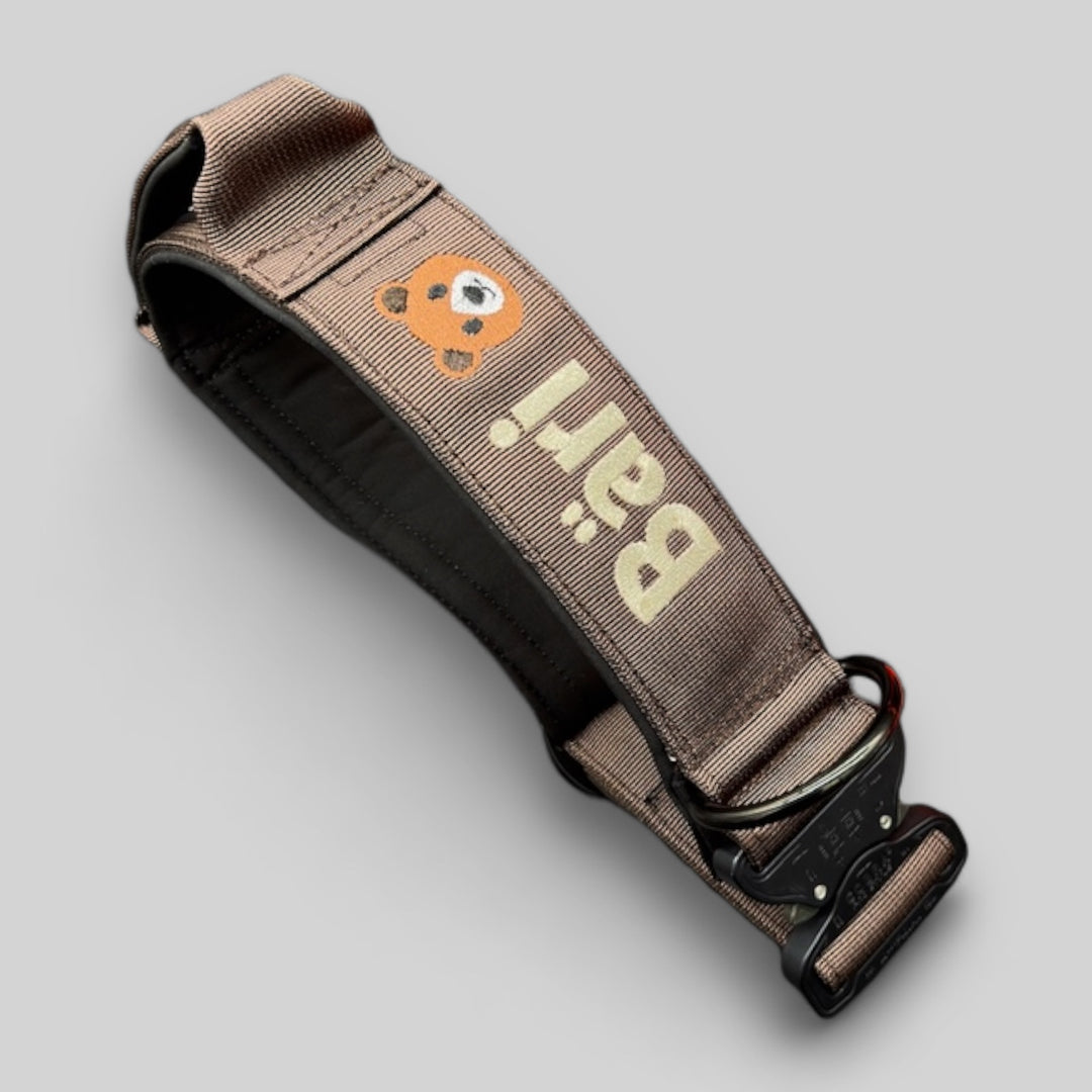 4 cm breite Leinen mit Frog 360 personalisiert