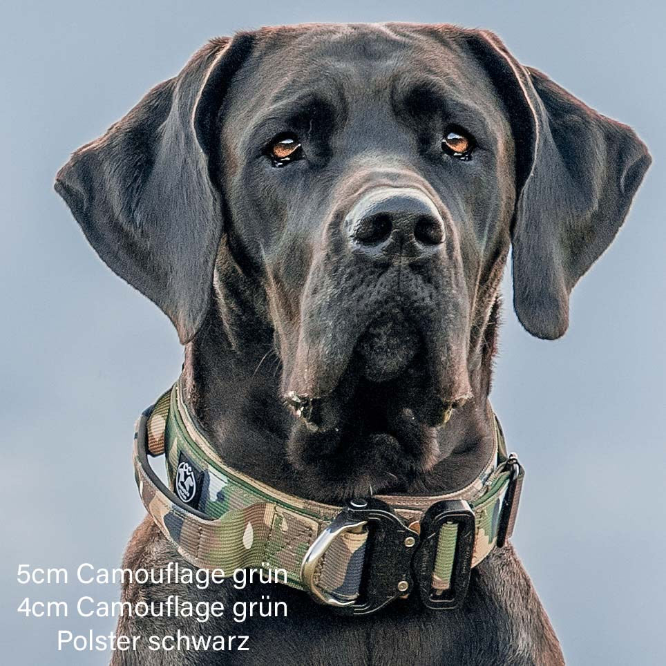 Luxus Heavy Duty Halsband 5 cm /7 cm/ 10 cm für grosse Hunde (zusätzliche Polster-Unterlage)