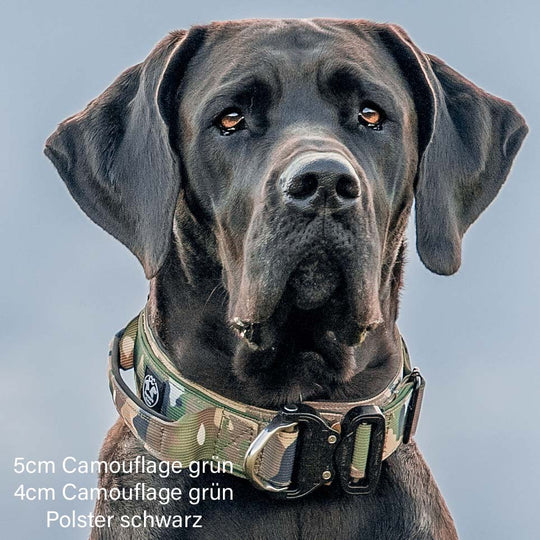 Luxus Heavy Duty Halsband 5 cm /7 cm/ 10 cm für grosse Hunde (zusätzliche Polster-Unterlage)