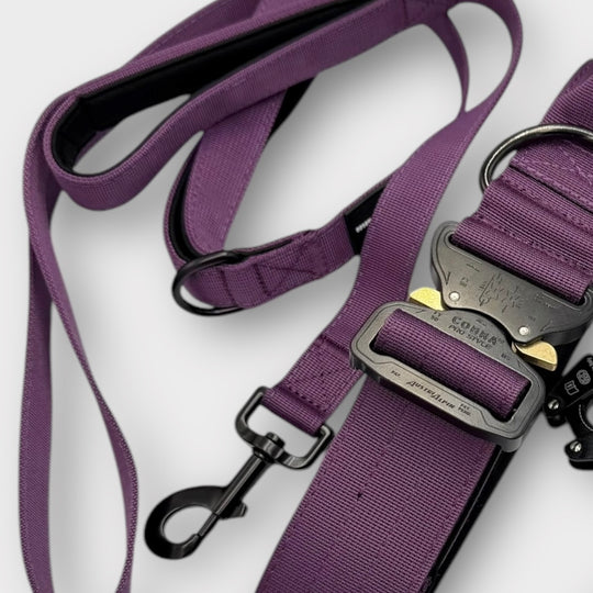 Limited Edition On Duty Cobra Haltegriff Halsband 5 cm für grosse Hunde (41 cm-78 cm)