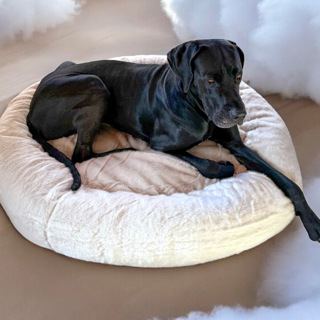 Neu! K9-ComfoCloud - Hundebett 115cm für grosse Hunde