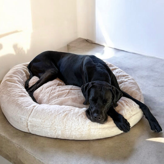 Neu! K9-ComfoCloud - Hundebett 115cm für grosse Hunde
