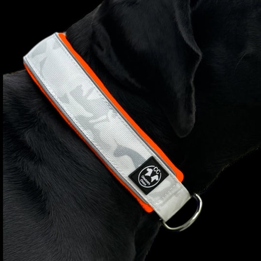 Comfo-Zugstopp Alpine 5 cm breit (43 cm-66 cm) personalisierbar