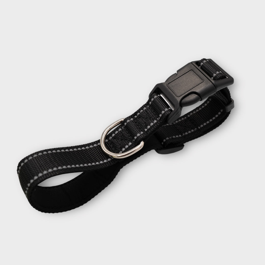 Halsband Easy 2.5 cm breit (35 cm-70 cm) - schwarz/neongrün/orange
