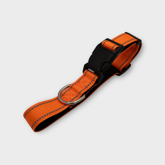 Halsband Easy 2.5 cm breit (35 cm-70 cm) - schwarz/neongrün/orange