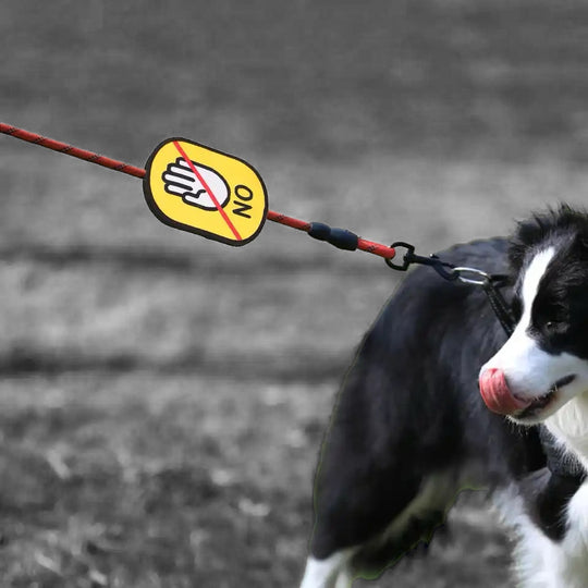 Patches / Flaggen mit Klett