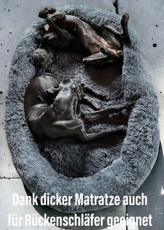 Hundebett grosse Hunde