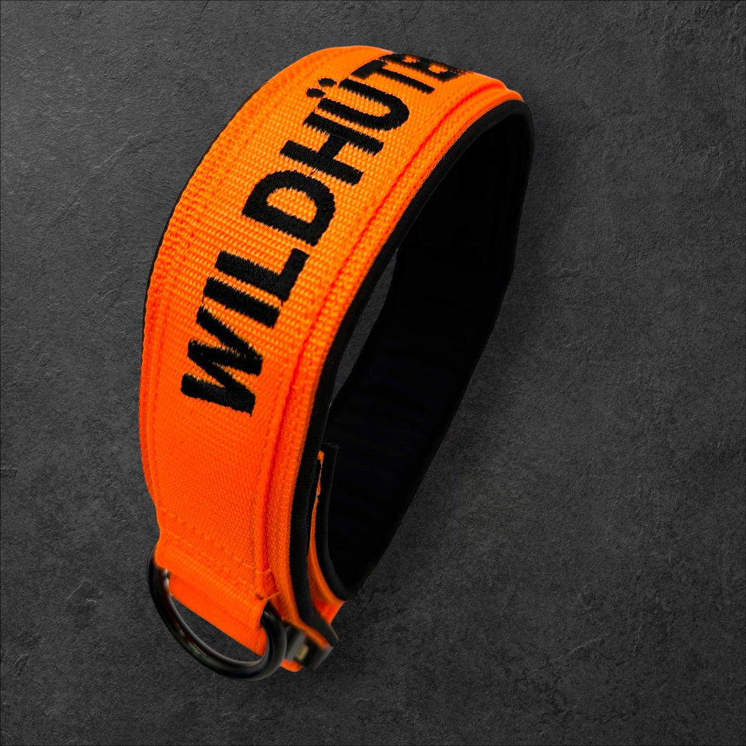 Your Choice - Mass Halsband 2.5 cm/4 cm/5 cm breit