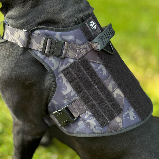 Hundegeschirr für grosse Hunde