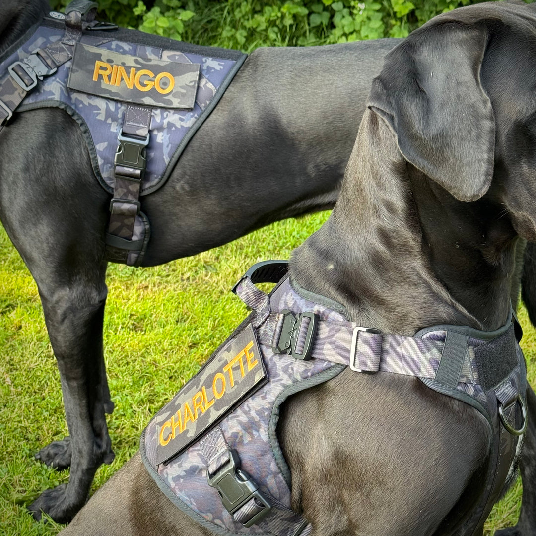 Alltrail CC-K9 Eco light Hundegeschirr  - Black camouflage