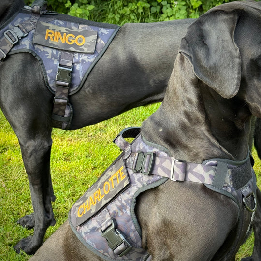 Alltrail CC-K9 Eco light Hundegeschirr  - Black camouflage