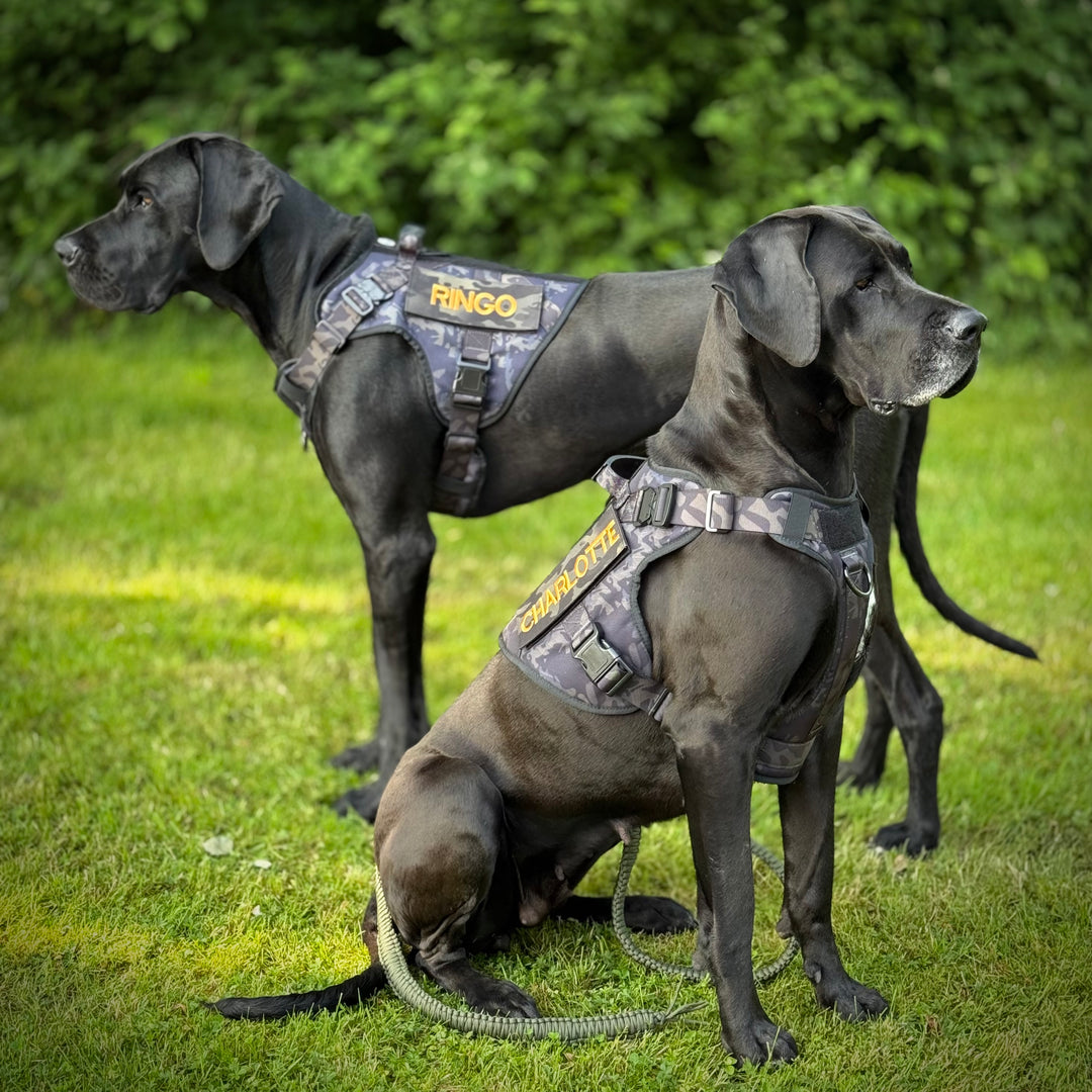 Alltrail CC-K9 Eco light Hundegeschirr  - Black camouflage