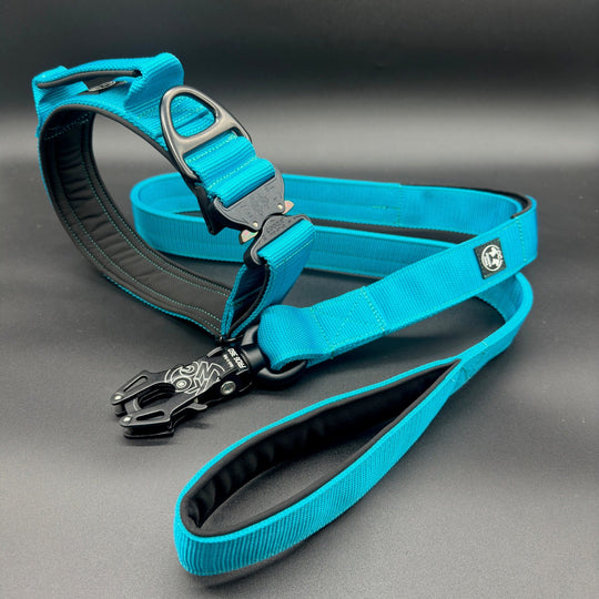 Your Choice - Mass Halsband 2.5 cm/4 cm/5 cm breit