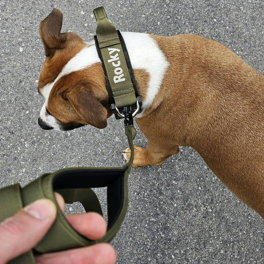 Luxus Heavy Duty Halsband 5 cm /7 cm/ 10 cm für grosse Hunde (zusätzliche Polster-Unterlage)