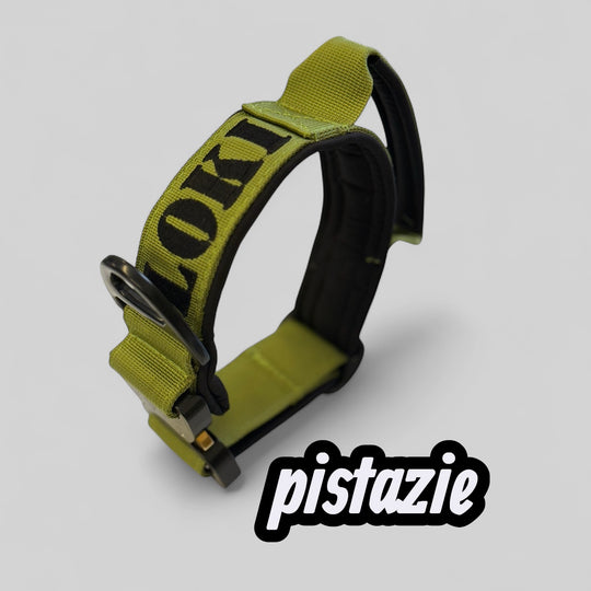 Luxus Heavy Duty Halsband 5 cm /7 cm/ 10 cm für grosse Hunde (zusätzliche Polster-Unterlage)