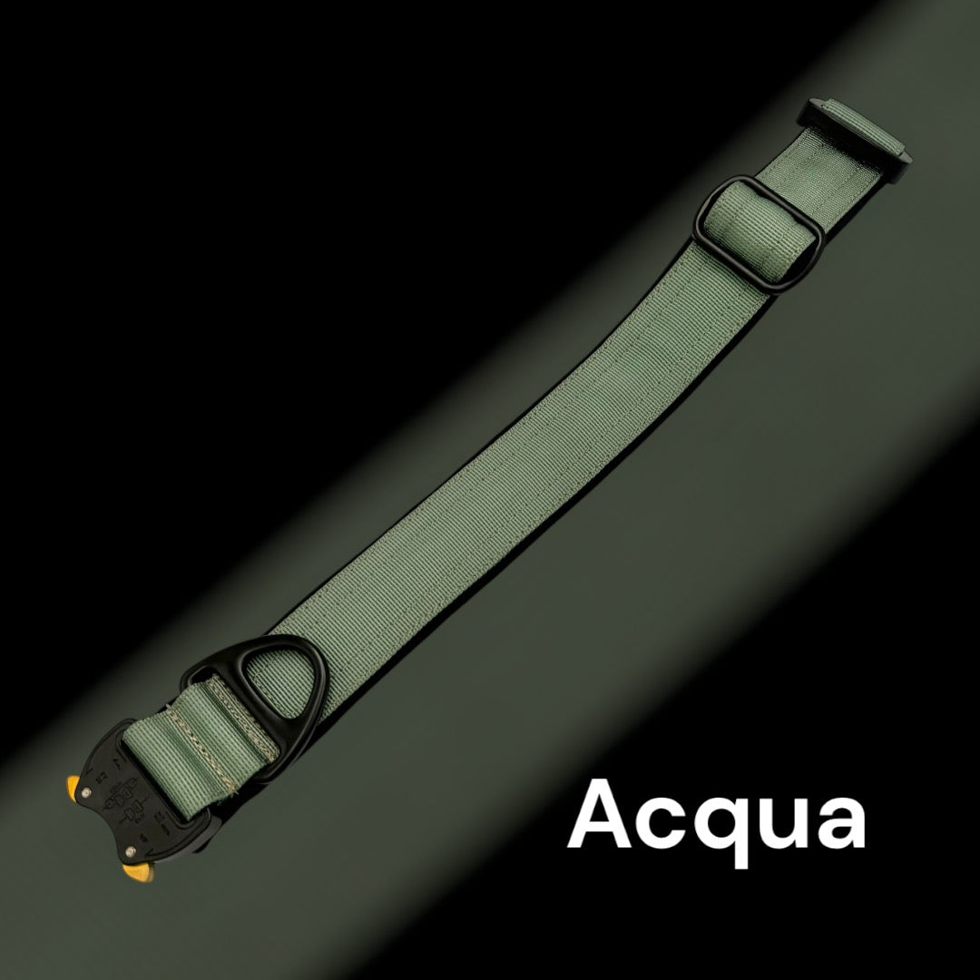 4 cm breite Leinen mit Frog 360 personalisiert