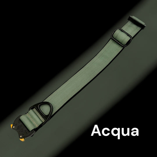 4 cm breite Leinen mit Frog 360 personalisiert