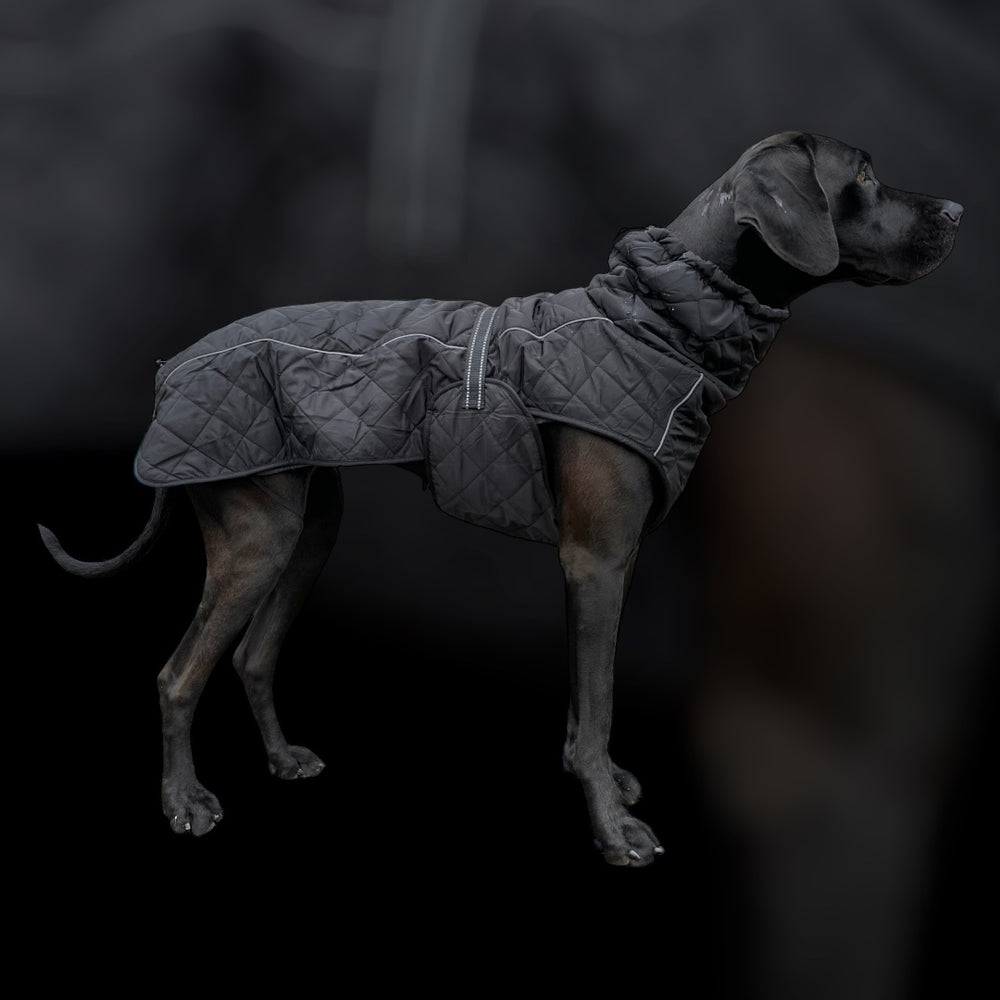 Hunde Wintermantel grosse Hunde