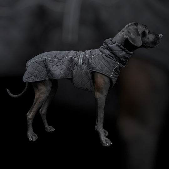 Hunde Wintermantel grosse Hunde