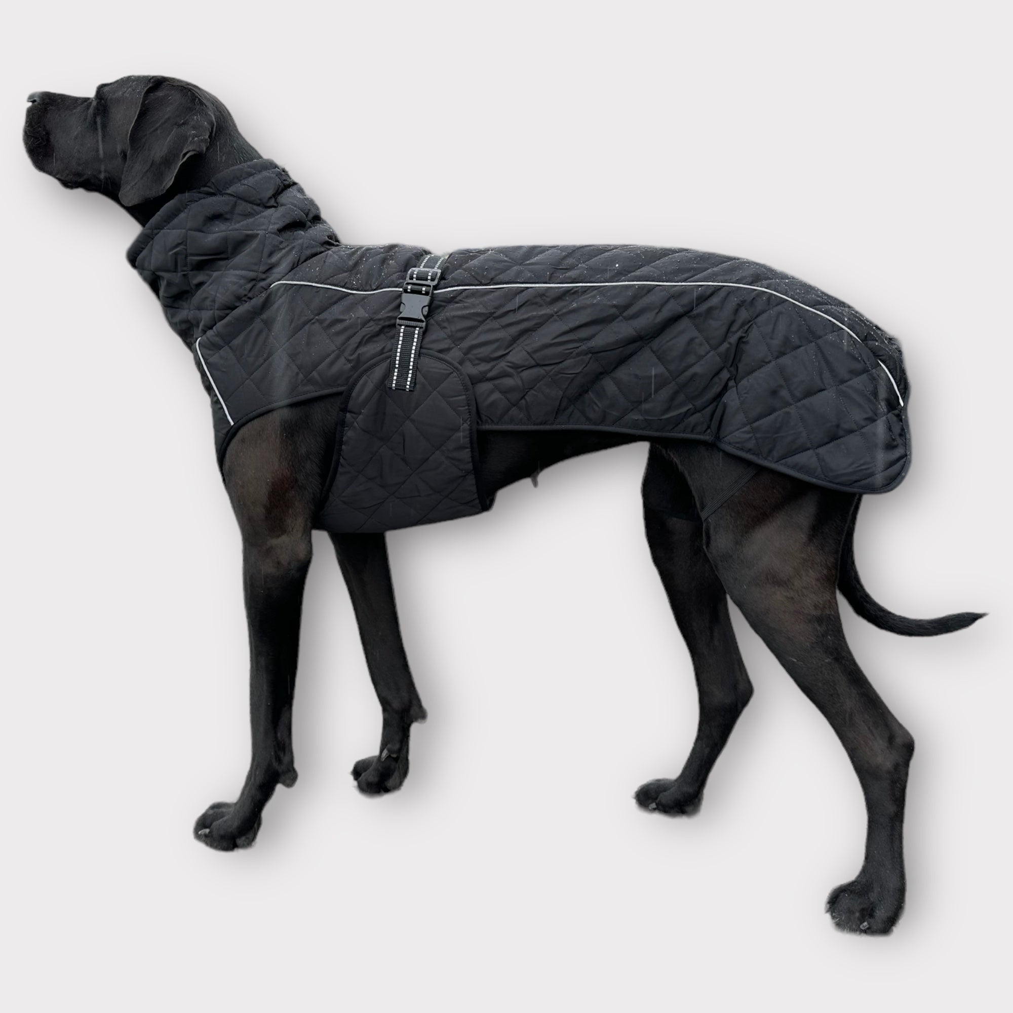 Hundemantel für grosse Hunde