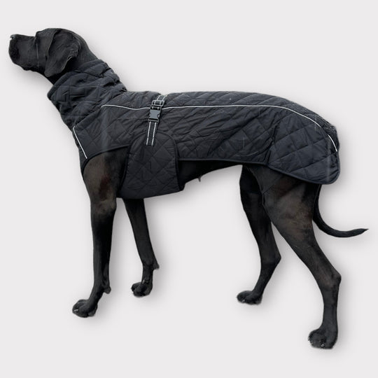 Hundemantel für grosse Hunde