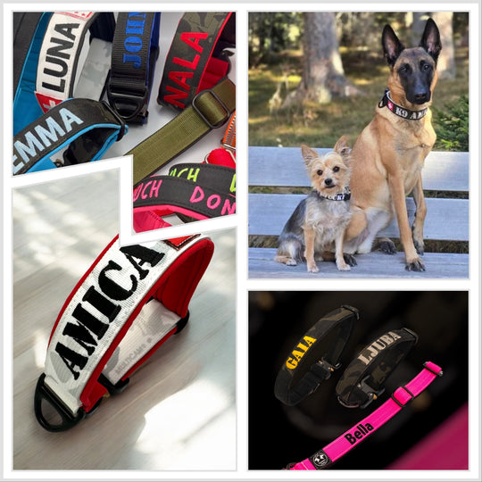 Your Choice - Mass Halsband 2.5 cm/4 cm/5 cm breit