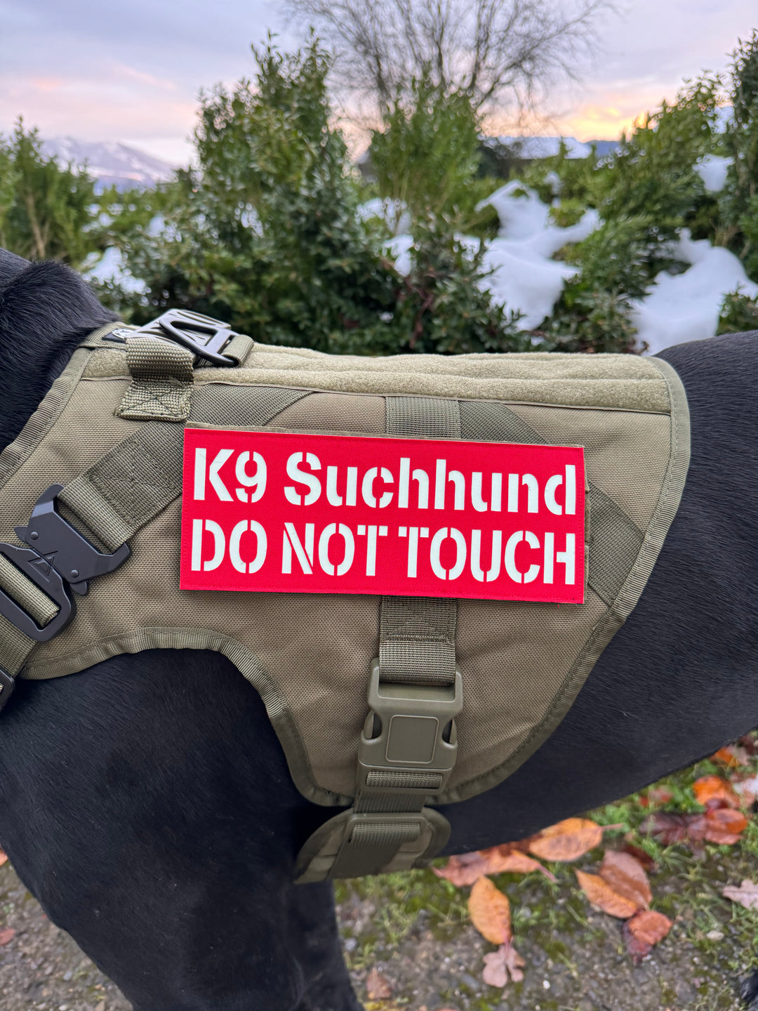 Alltrail CC-K9 Eco light Hundegeschirr - schwarz