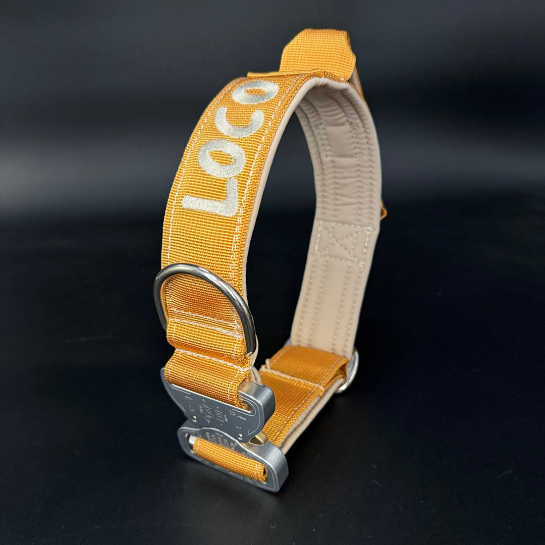 2.5 cm Leine personalisiert mit Standard-Karabiner, Frog Cable oder Frog 360