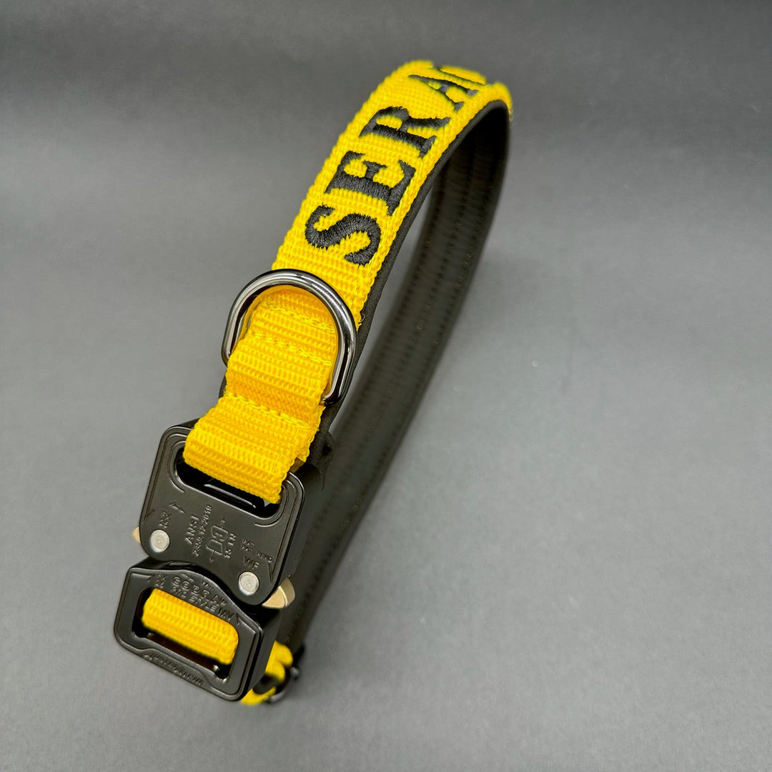 4 cm breite Leinen mit Frog 360 personalisiert