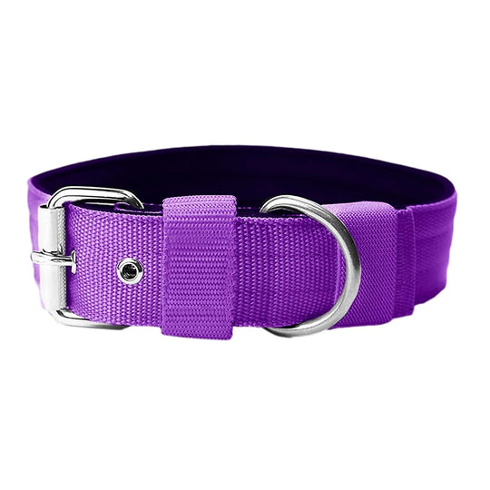 Walker 4 cm breit Grösse S-XL (33 cm-66 cm)