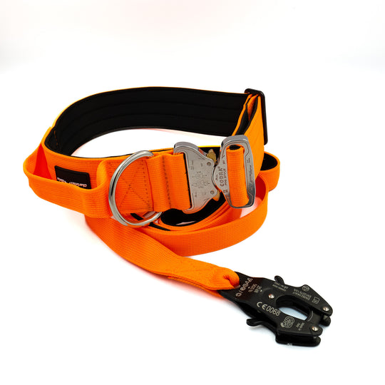 On Duty Cobra Haltegriff Halsband 5 cm für grosse Hunde (41 cm-78 cm)