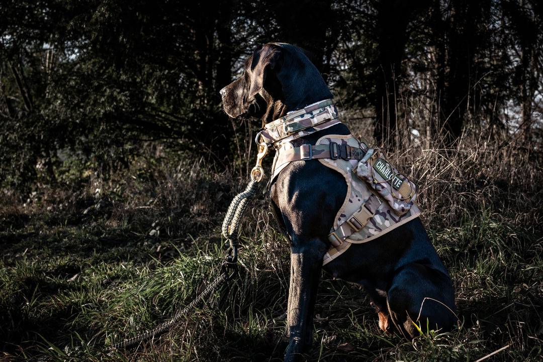 Hundegeschirr Dogge army