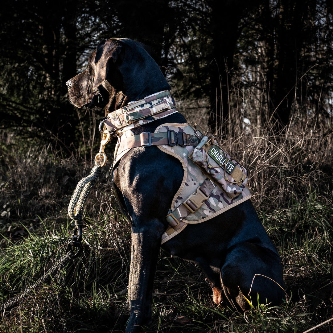 Taschen für alle Alltrail CC-K9 Hundegeschirre  (2 Taschen)