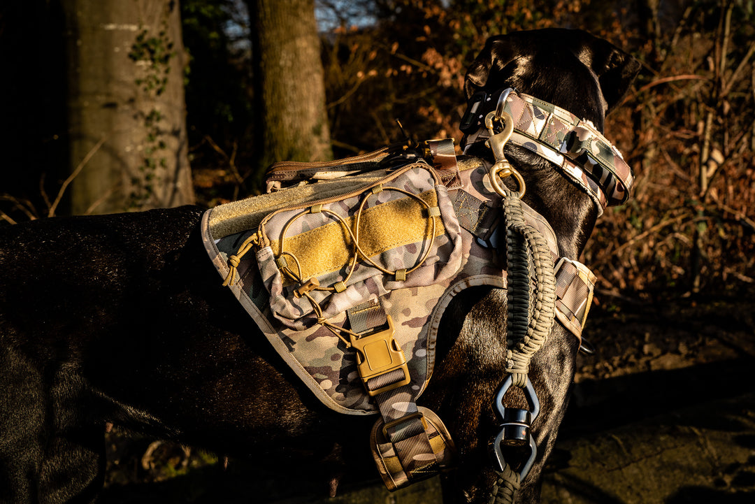 Taschen für alle Alltrail CC-K9 Hundegeschirre  (2 Taschen)