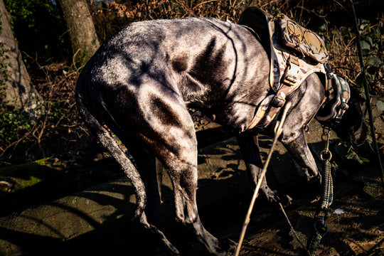 Taschen für alle Alltrail CC-K9 Hundegeschirre  (2 Taschen)