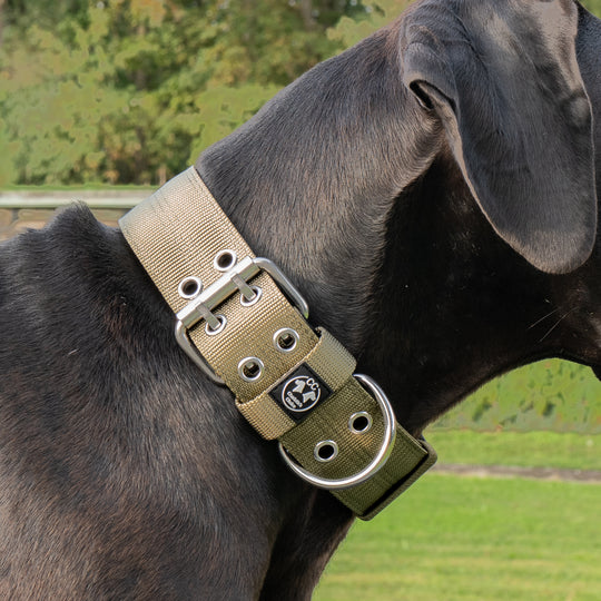 Ringo Halsband 5cm breit (38 cm-71 cm) - army-grün