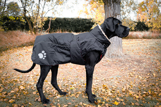 Hundejacke für grosse Hunde