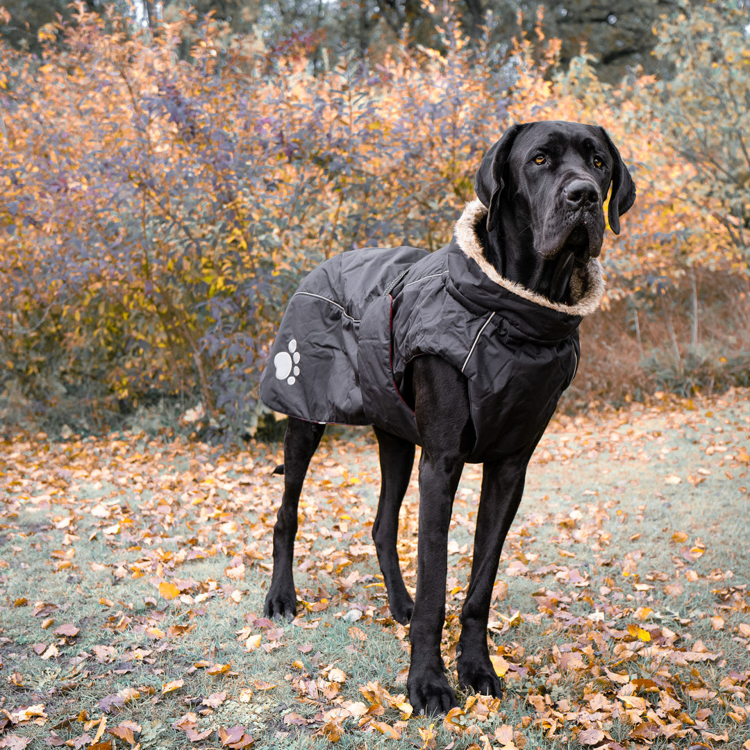 gefütterter Hundemantel Winter für grosse Hunde
