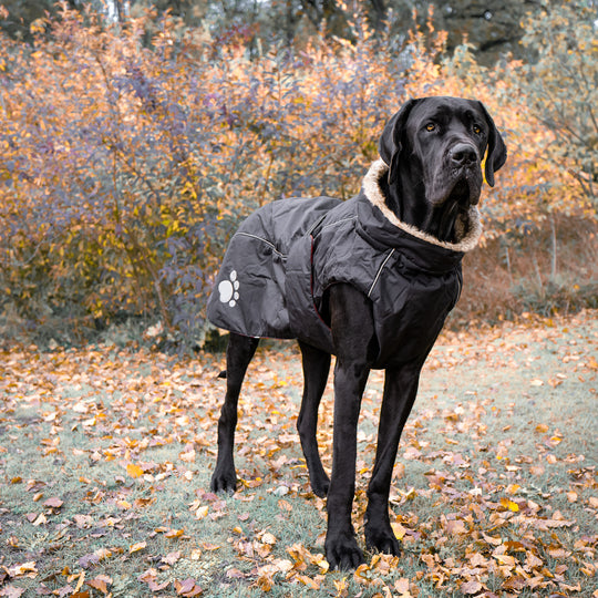 gefütterter Hundemantel Winter für grosse Hunde