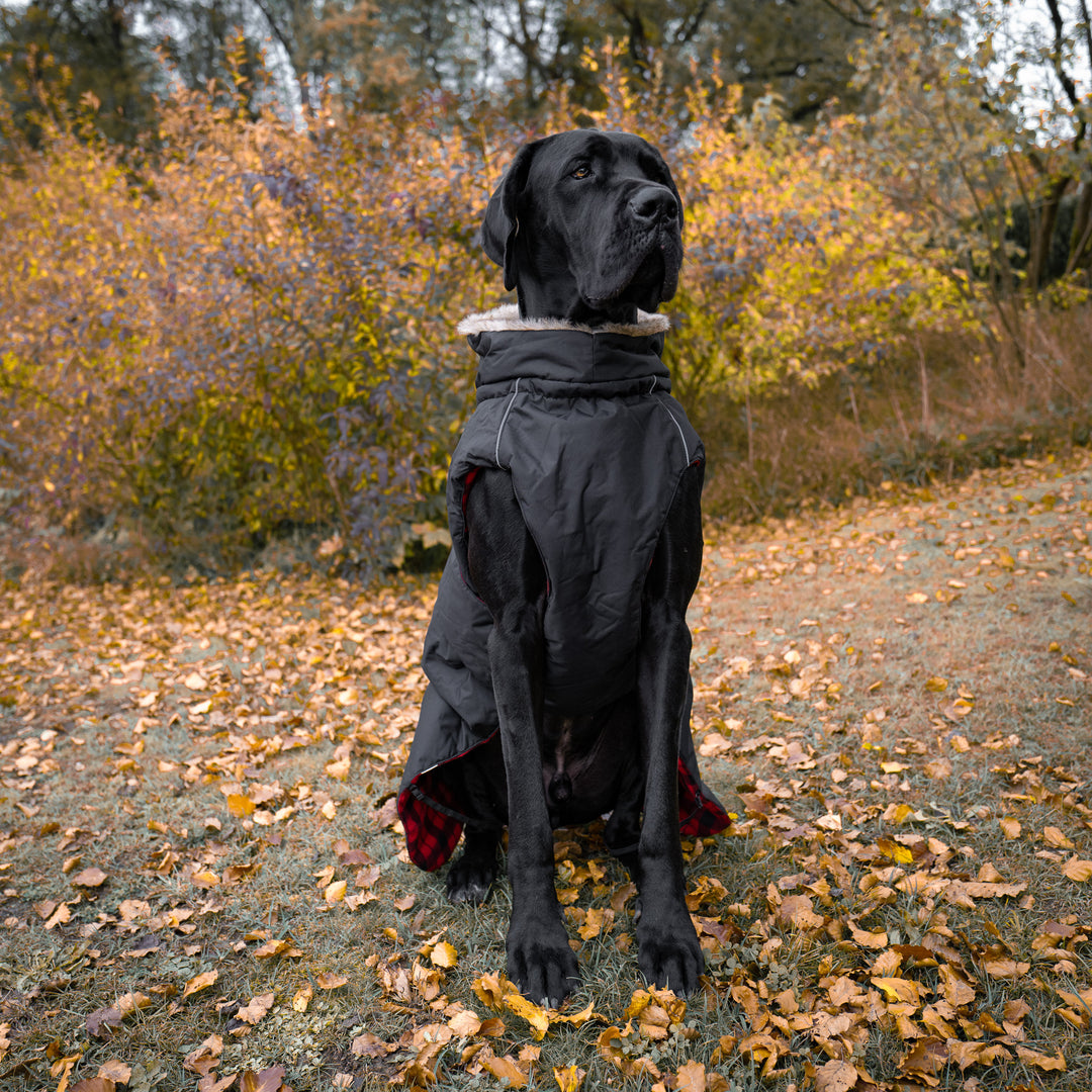 Winterjacke für grosse Hunde
