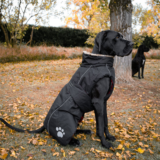 Hundemantel Polar, sehr warm (50 cm-76 cm) - schwarz/signalrot/koralle