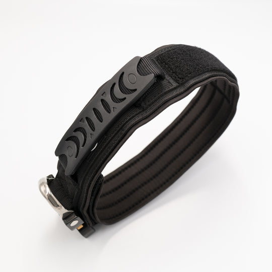 Halsband für stake Hunde